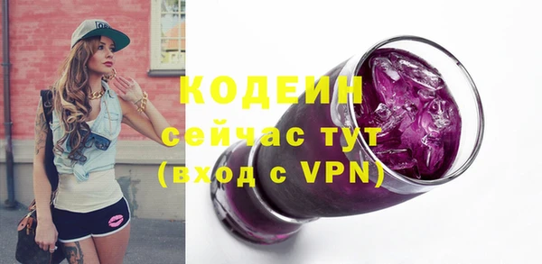 крисы Бородино
