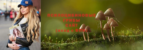 каннабис Богородицк