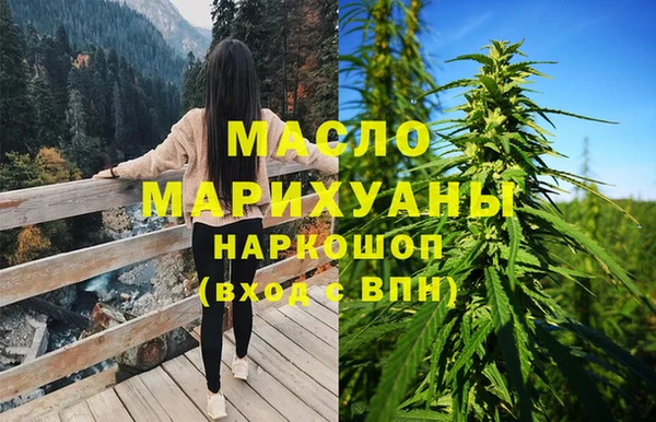 крисы Бородино