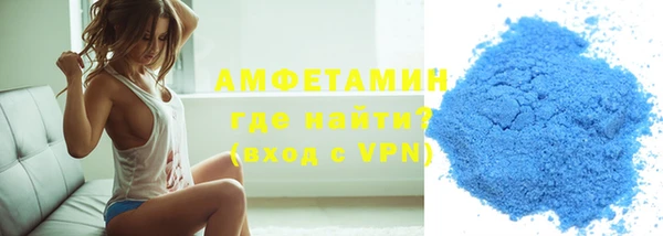 крисы Бородино