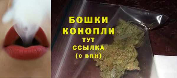 крисы Бородино