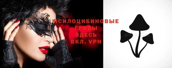 ПСИЛОЦИБИНОВЫЕ ГРИБЫ Бронницы