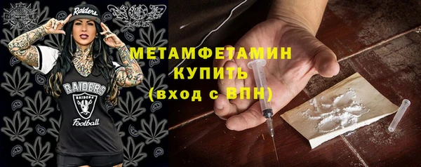крисы Бородино