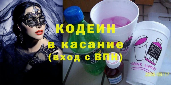 крисы Бородино