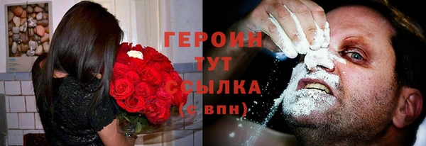 крисы Бородино