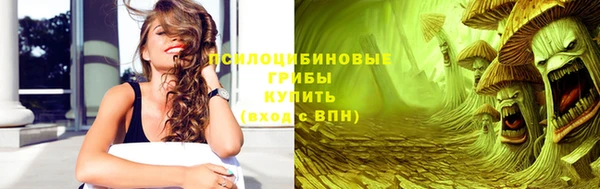 ПСИЛОЦИБИНОВЫЕ ГРИБЫ Бронницы