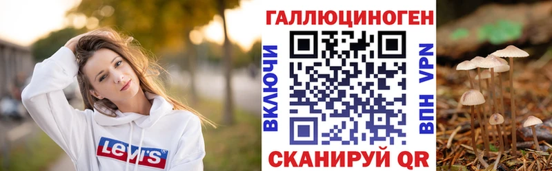 купить   Камызяк  Псилоцибиновые грибы прущие грибы 